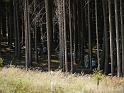 Brunnenrunde (6)